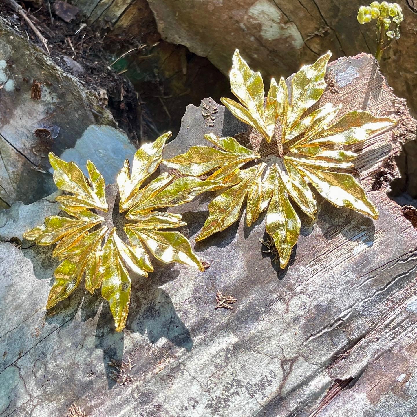 GOLD LEAF STUDS